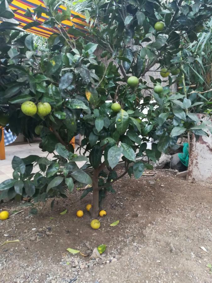 Casa La Terraza Βίλα Vallehermoso Εξωτερικό φωτογραφία