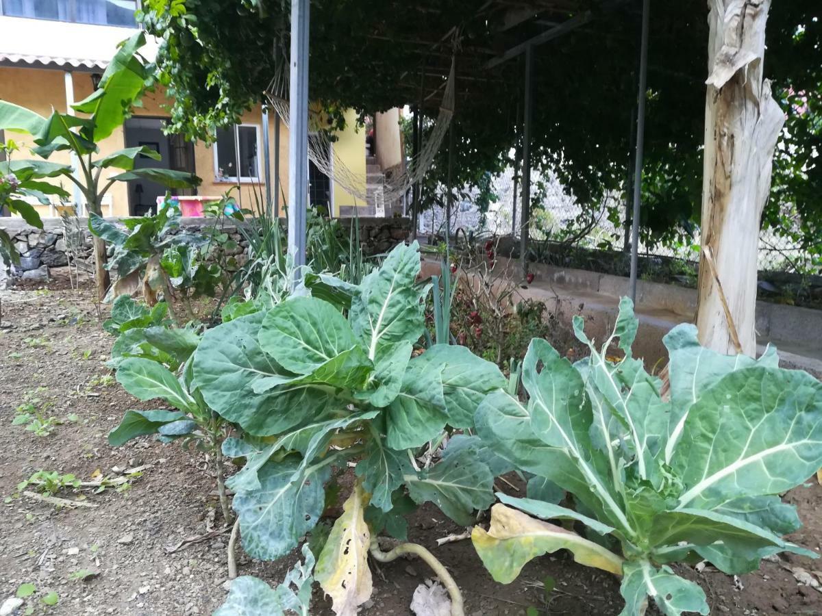 Casa La Terraza Βίλα Vallehermoso Εξωτερικό φωτογραφία