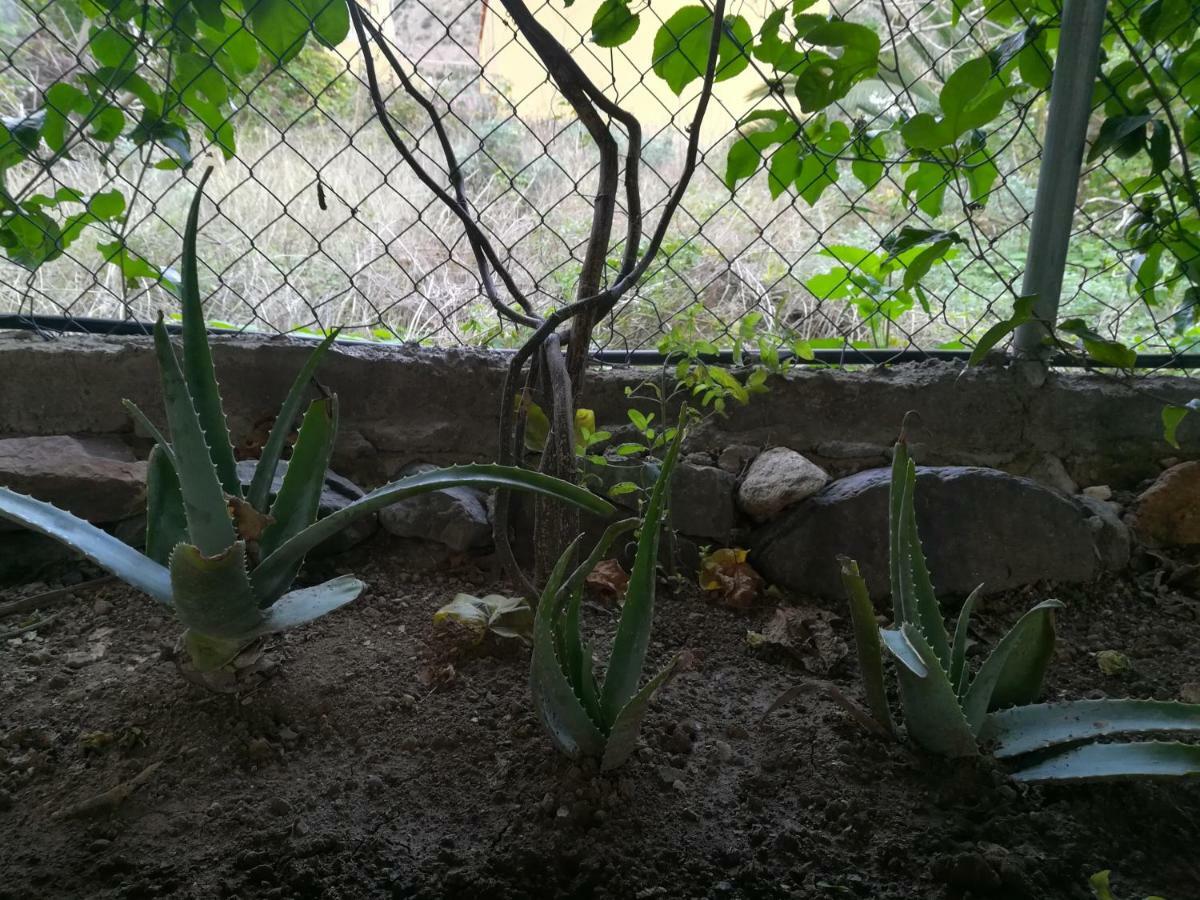 Casa La Terraza Βίλα Vallehermoso Εξωτερικό φωτογραφία