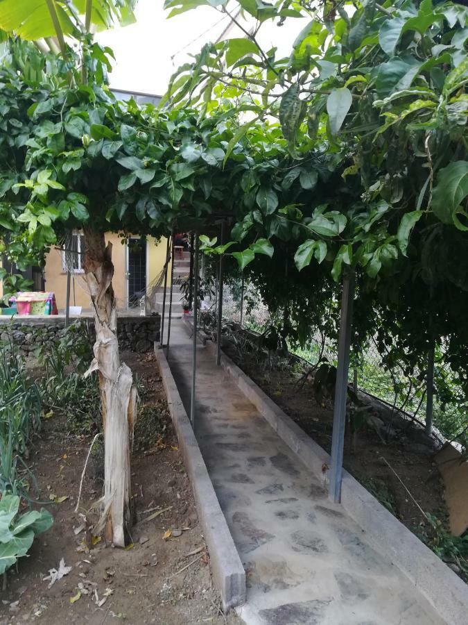 Casa La Terraza Βίλα Vallehermoso Εξωτερικό φωτογραφία