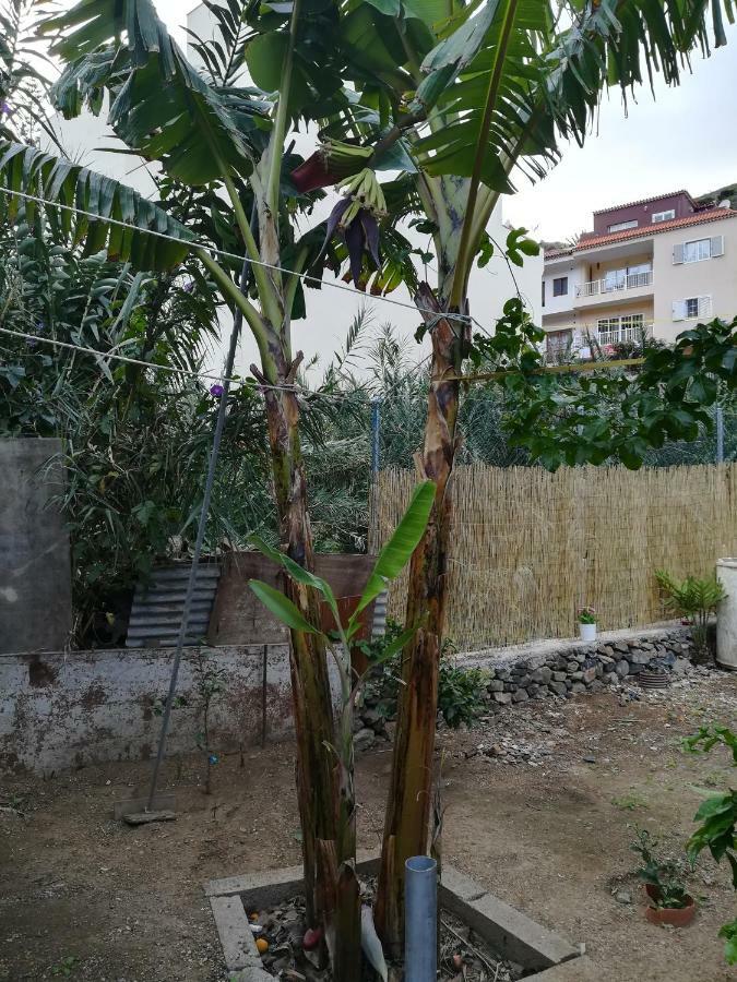 Casa La Terraza Βίλα Vallehermoso Εξωτερικό φωτογραφία