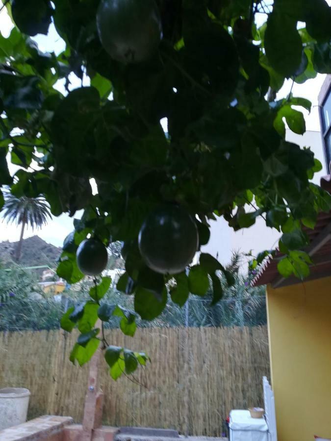 Casa La Terraza Βίλα Vallehermoso Εξωτερικό φωτογραφία